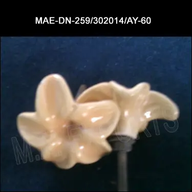 MAE-DN-259